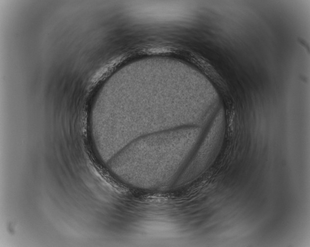 X0000099470732200806061219