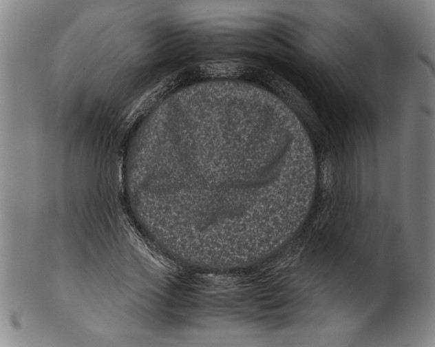 X0000099470733200806061219