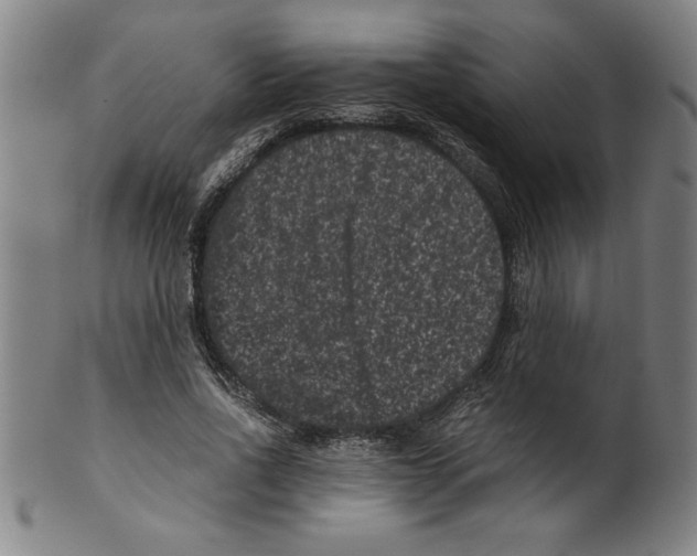 X0000099470734200806061219