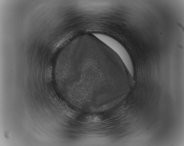 X0000099470735200806061219