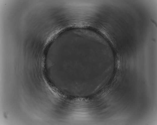 X0000099470736200806061219