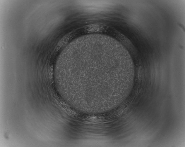 X0000099470737200806061219