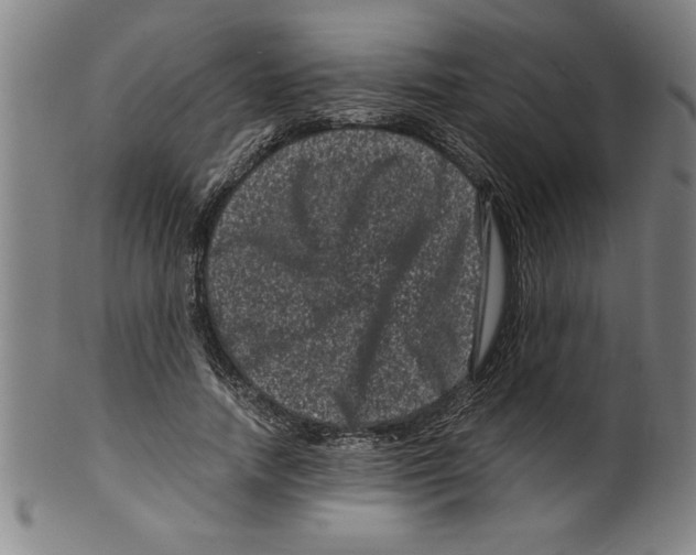 X0000099470738200806061219