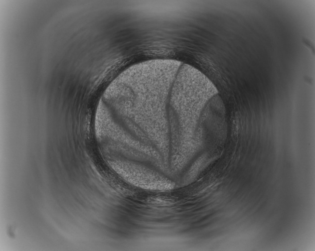 X0000099470739200806061219