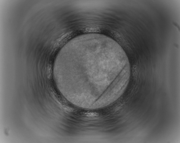 X0000099470741200806061219