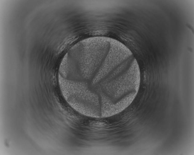 X0000099470743200806061219