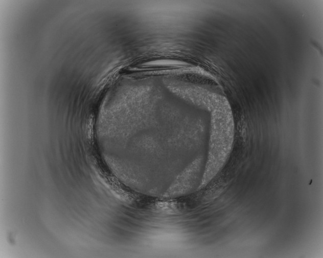 X0000099470744200806061219