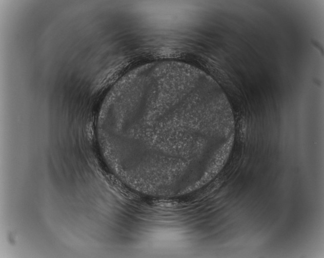 X0000099470746200806061219