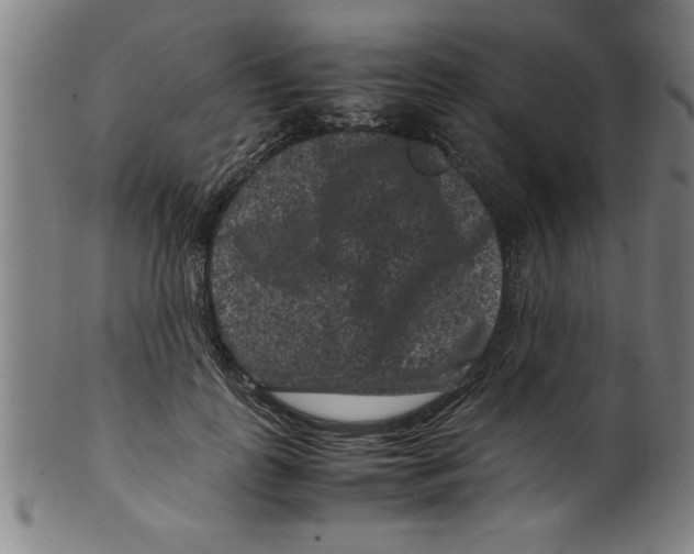 X0000099470747200806061219