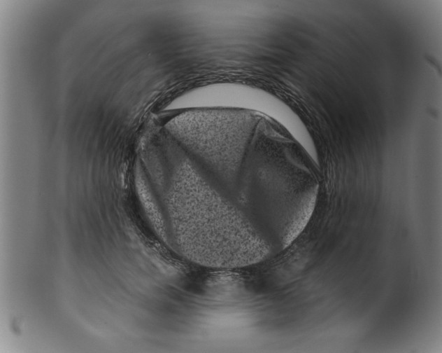 X0000099470750200806061220