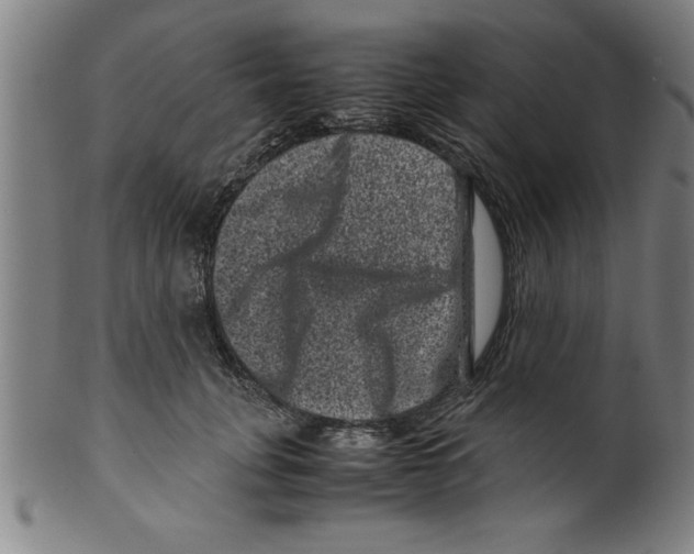 X0000099470751200806061220