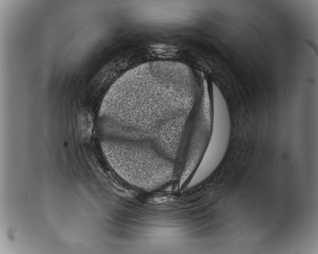 X0000099470752200806061220