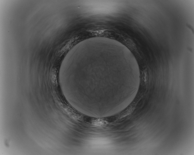 X0000099470754200806061220