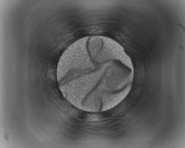 X0000099470755200806061220