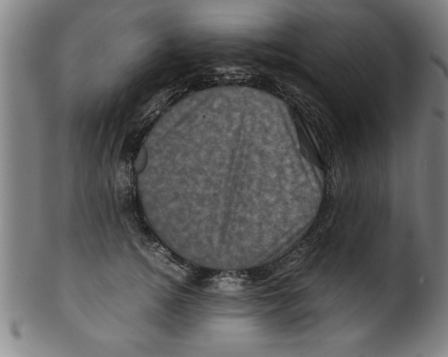 X0000099470756200806061220