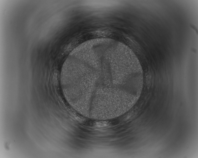 X0000099470757200806061220