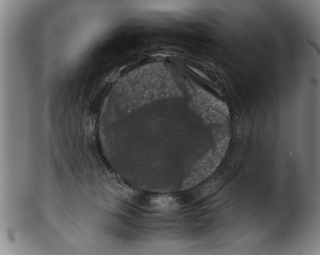 X0000099470759200806061220