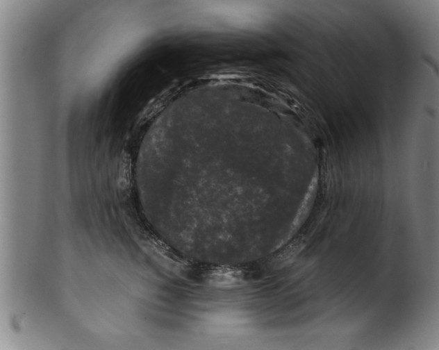 X0000099470760200806061220