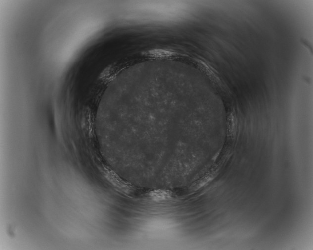 X0000099470762200806061220