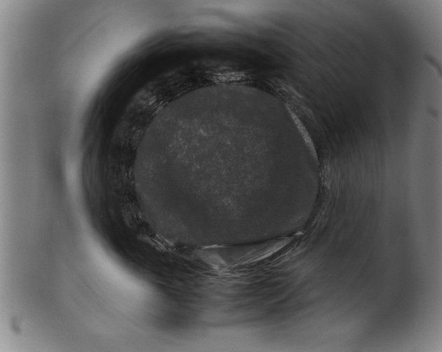 X0000099470763200806061220