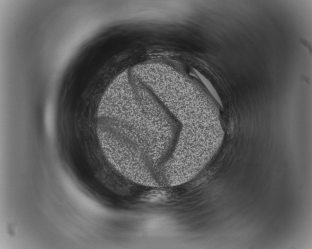 X0000099470764200806061220