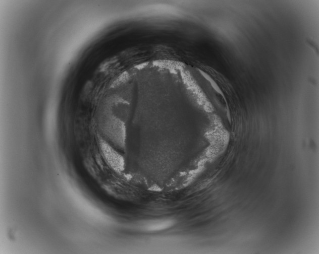 X0000099470765200806061220