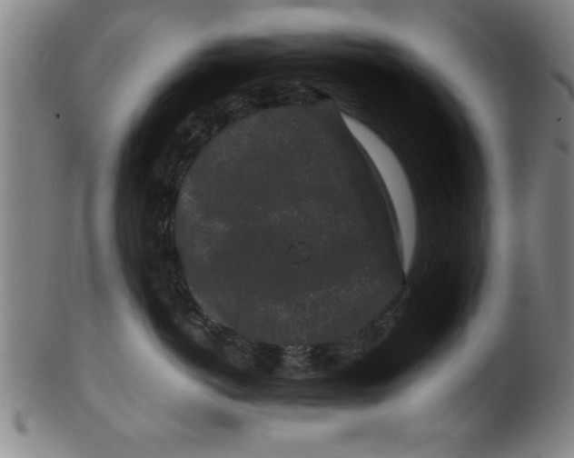 X0000099470766200806061220