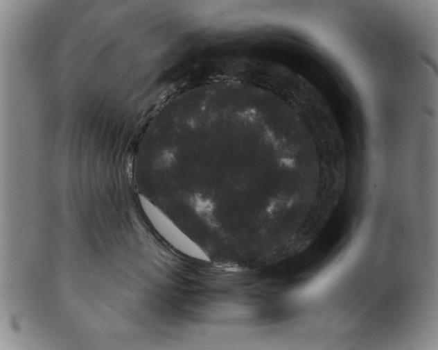 X0000099470767200806061220