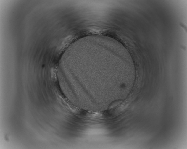 X0000099470768200806061220