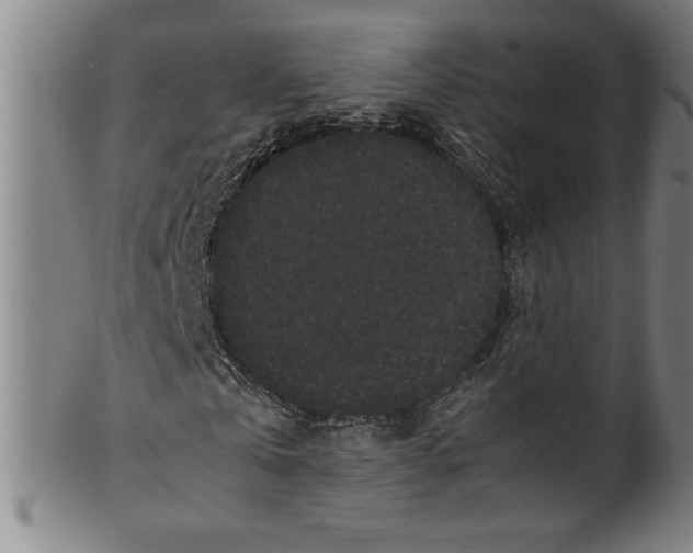 X0000099470769200806061219