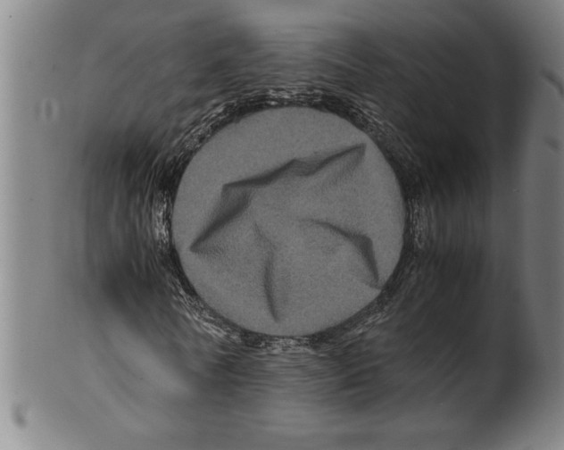 X0000099470770200806061219