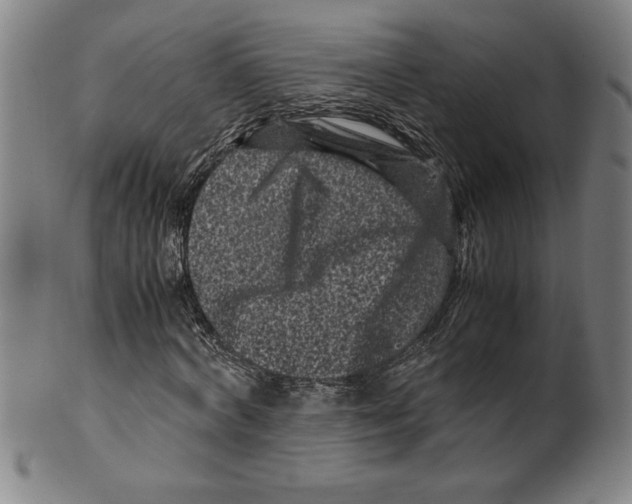 X0000099470772200806061219