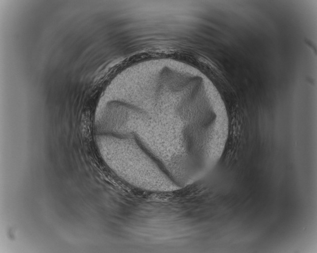 X0000099470773200806061219