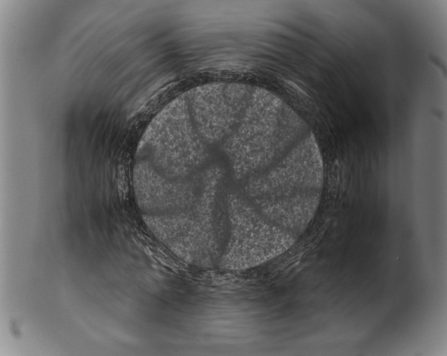 X0000099470774200806061219