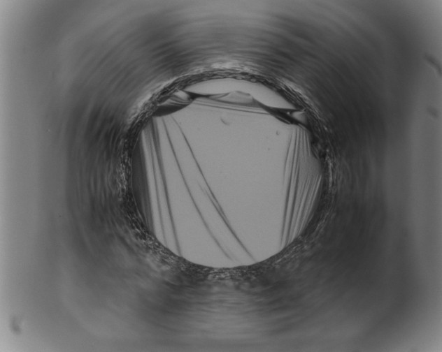 X0000099470776200806061219