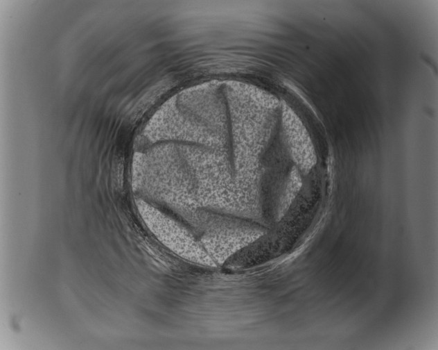 X0000099470777200806061219