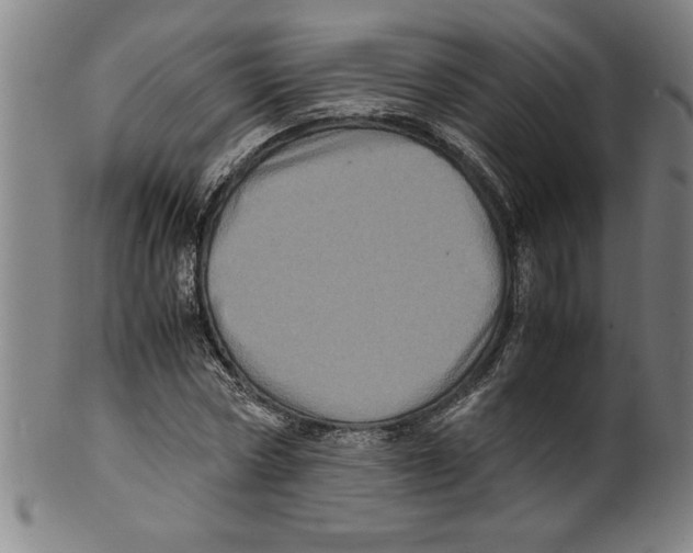 X0000099470778200806061219