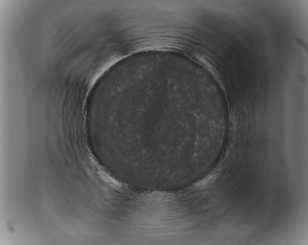 X0000099470779200806061219