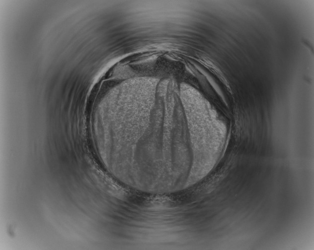 X0000099470784200806061219