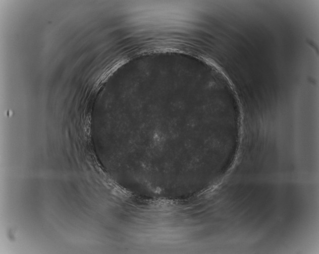 X0000099470785200806061219