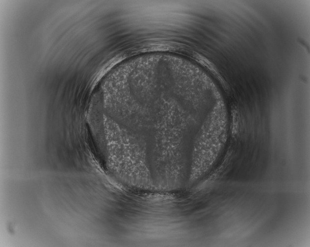 X0000099470786200806061219