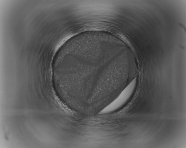 X0000099470787200806061219