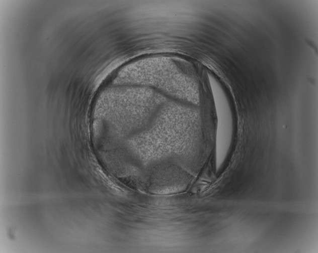 X0000099470789200806061219