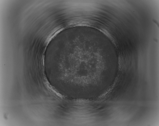 X0000099470790200806061219