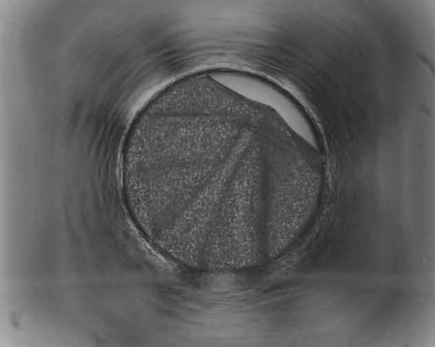 X0000099470791200806061219