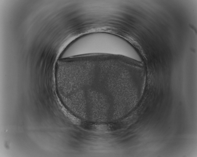 X0000099470792200806061219