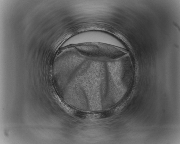 X0000099470793200806061219