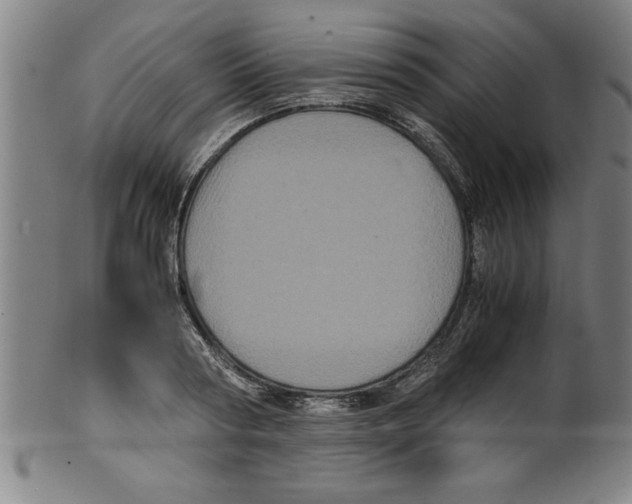 X0000099470794200806061219