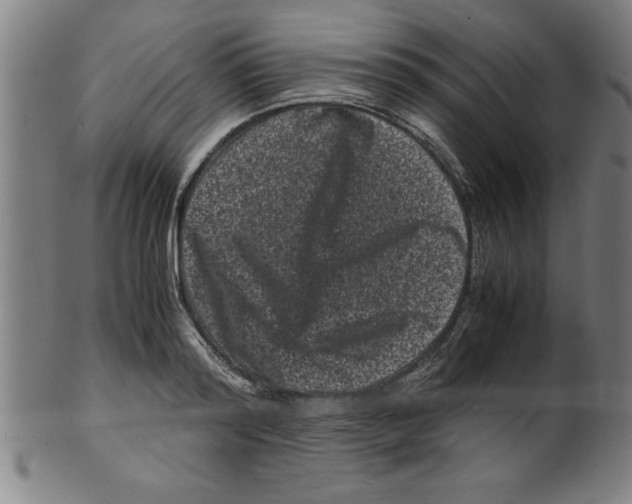 X0000099470796200806061219