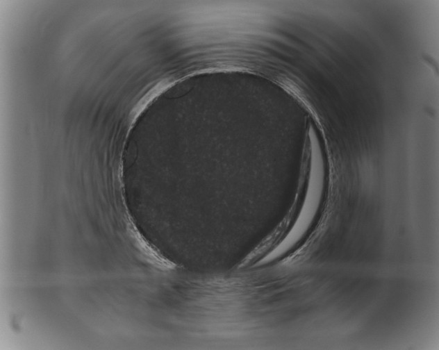 X0000099470797200806061219